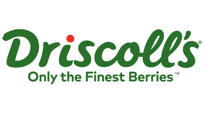 Driscoll s H1B Data H1B Data