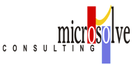 Microsolve Consulting