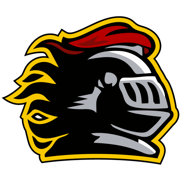 Arthur Community Unit School District 305 H1B Data H1B Data