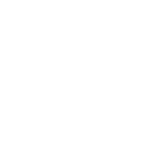 The DVS Group